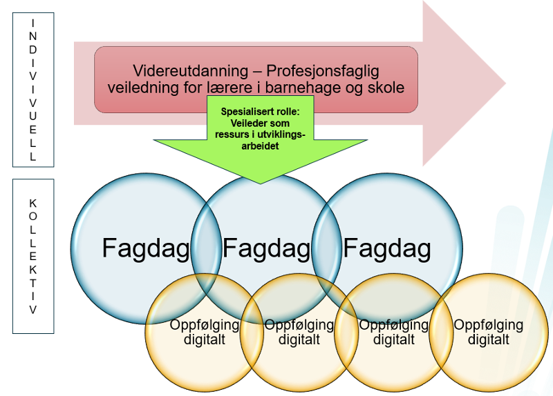 Veileder som ressurs i organisasjonsutvikling.png